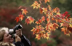 Celebrate World Photography Day by showing NPR the coolest shot you've ever captured